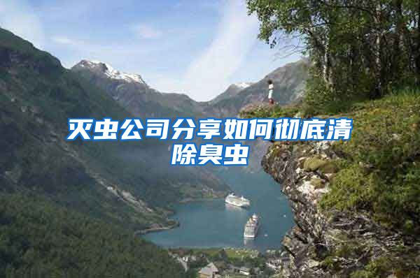 灭虫公司分享如何彻底清除臭虫