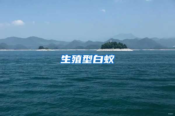 生殖型白蚁