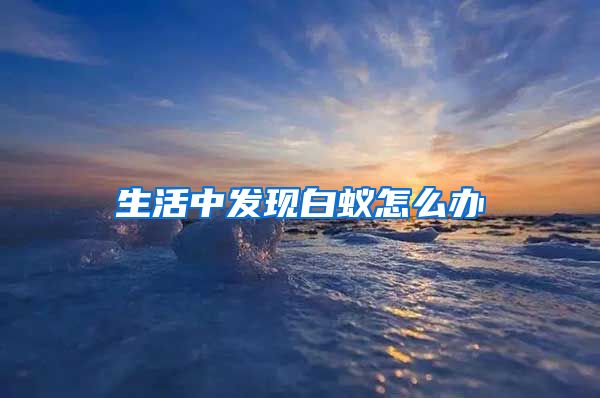 生活中发现白蚁怎么办