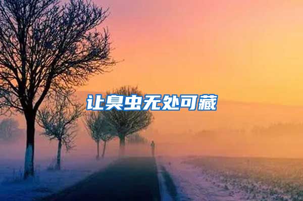 让臭虫无处可藏