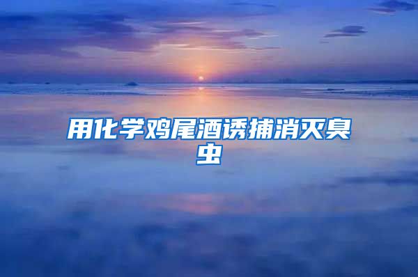用化学鸡尾酒诱捕消灭臭虫
