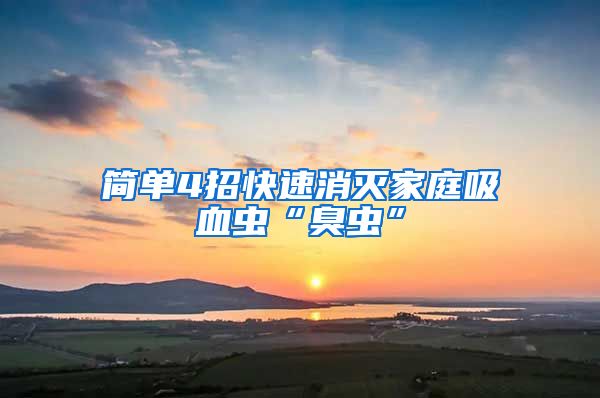 简单4招快速消灭家庭吸血虫“臭虫”