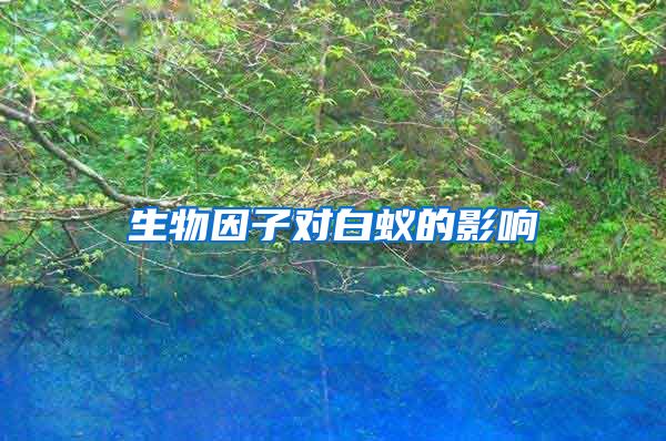 生物因子对白蚁的影响