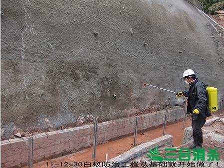 防治白蚁,白蚁防治方法 白蚁怎么治,白蚁防治方法