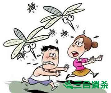 灭蚊公司,灭蚊子最有效的方法 灭蚊方法,灭蚊子方法