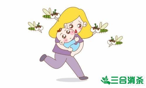 灭蚊公司,灭蚊子最有效的方法 灭蚊方法,灭蚊子方法