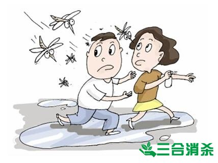 灭蚊公司,灭蚊子最有效的方法 灭蚊方法,灭蚊子方法