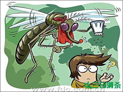 灭蚊方法,灭蚊子方法
