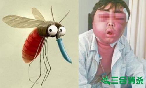 灭蚊公司,灭蚊子最有效的方法 灭蚊方法,灭蚊子方法