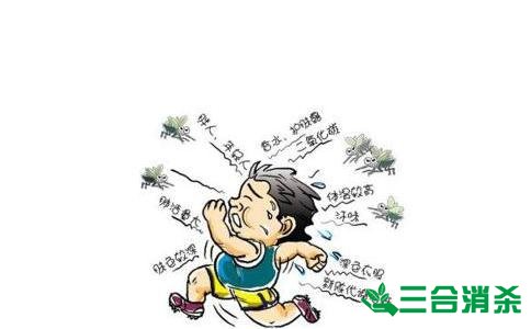 灭蚊公司,灭蚊子最有效的方法 灭蚊方法,灭蚊子方法