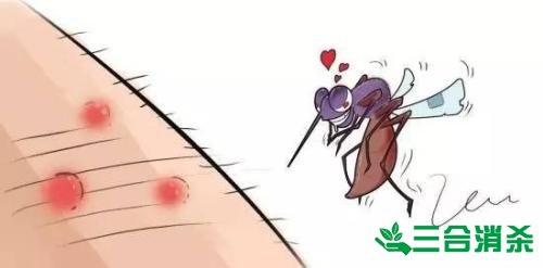灭蚊公司,灭蚊子最有效的方法 灭蚊方法,灭蚊子方法