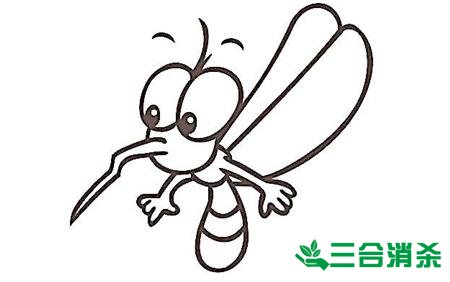 灭蚊公司,灭蚊子最有效的方法 灭蚊方法,灭蚊子方法