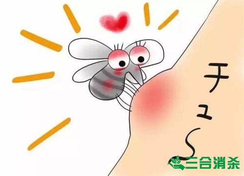灭蚊公司,灭蚊子最有效的方法 灭蚊方法,灭蚊子方法
