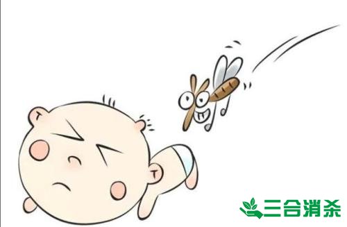 灭蚊公司,灭蚊子最有效的方法 灭蚊方法,灭蚊子方法