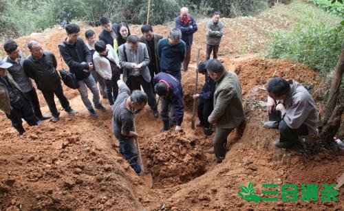 白蚁防治费用,灭白蚁杀白蚁公司 防治白蚁,白蚁防治方法