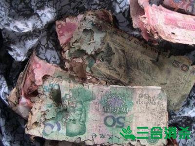 防治白蚁,白蚁防治方法 白蚁怎么治,白蚁防治方法