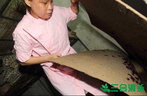 除蟑螂灭蟑螂的方法 如何消灭蟑螂,怎么样灭除蟑螂