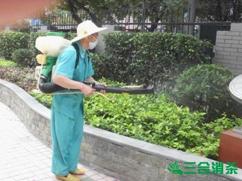 防治白蚁,白蚁防治方法 白蚁怎么治,怎么防治白蚁方法