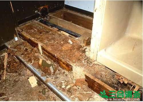 防治白蚁,白蚁防治方法 白蚁怎么治,怎么防治白蚁方法