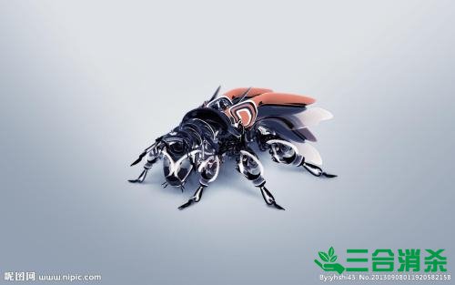 灭苍蝇方法,苍蝇防治 苍蝇防治方法,灭苍蝇公司