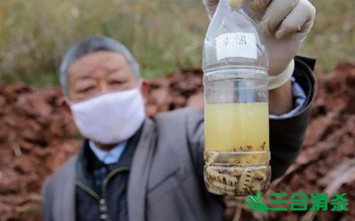 防治白蚁,白蚁防治方法 白蚁怎么治,白蚁防治方法