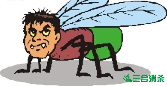 灭苍蝇方法,苍蝇防治 苍蝇防治方法,灭苍蝇公司