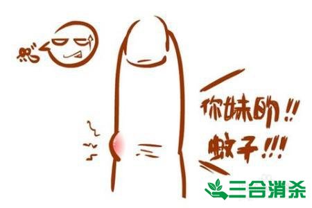 灭蚊公司,灭蚊子最有效的方法 灭蚊方法,灭蚊子方法