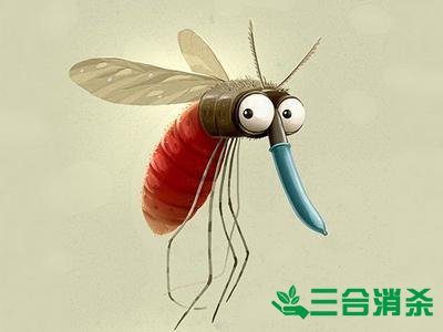灭蚊公司,灭蚊子最有效的方法 灭蚊方法,灭蚊子方法