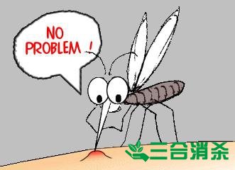 灭蚊公司,灭蚊子最有效的方法 灭蚊方法,灭蚊子方法