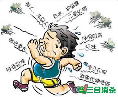 灭蚊公司,灭蚊子最有效的方法 灭蚊方法,灭蚊子方法